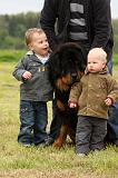 ENFANT ET CHIEN 395